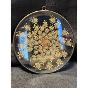 Pressed Dried Flower Suncatcher Beveled Glass Circle shaped Vintage Copper? 6”